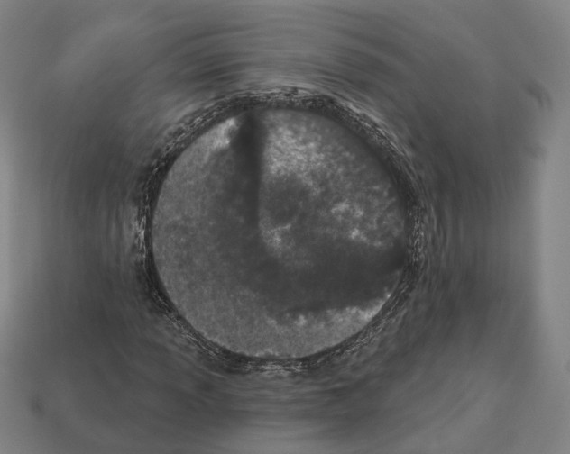 X0000112541013200909281054