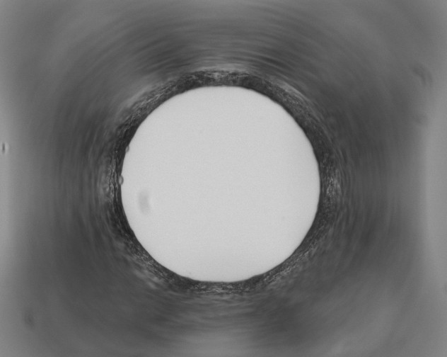 X0000112541014200909281054