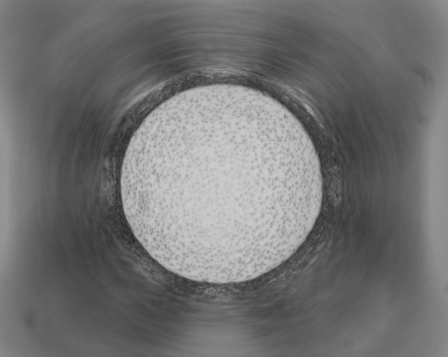 X0000112541015200909281054