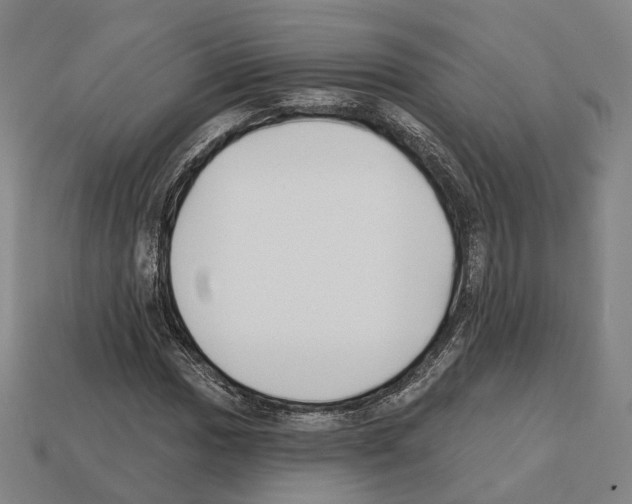 X0000112541017200909281054