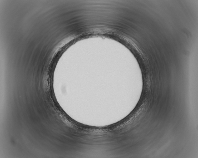 X0000112541018200909281054