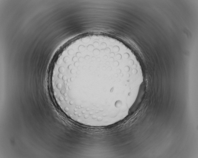X0000112541020200909281055