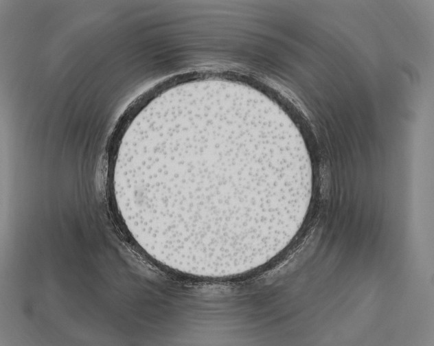 X0000112541021200909281055