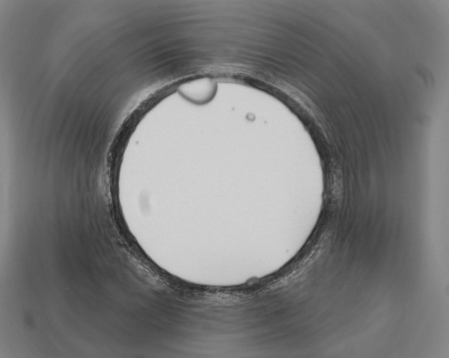 X0000112541022200909281055