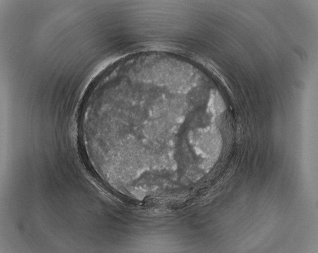 X0000112541024200909281055