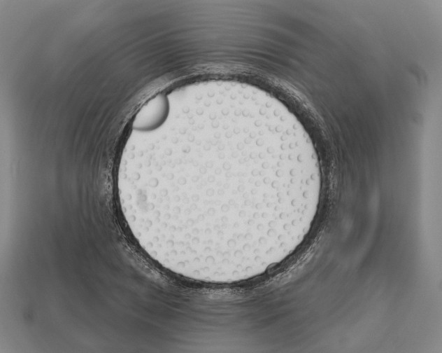 X0000112541025200909281055