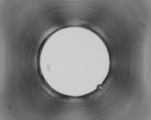 X0000112541026200909281055