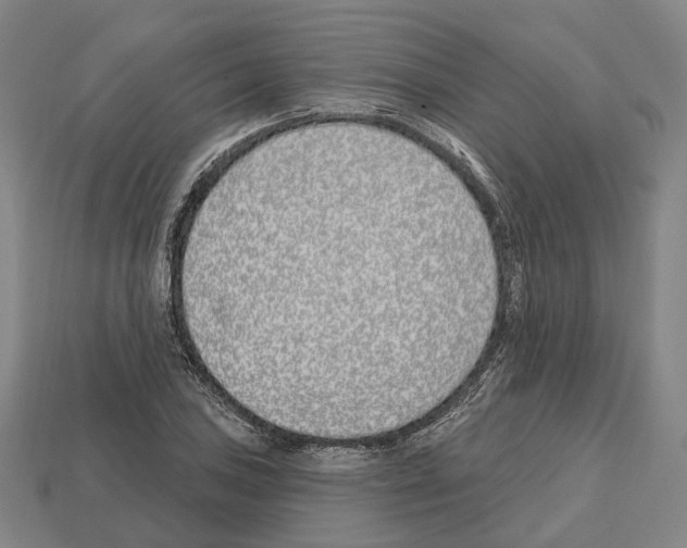 X0000112541027200909281055
