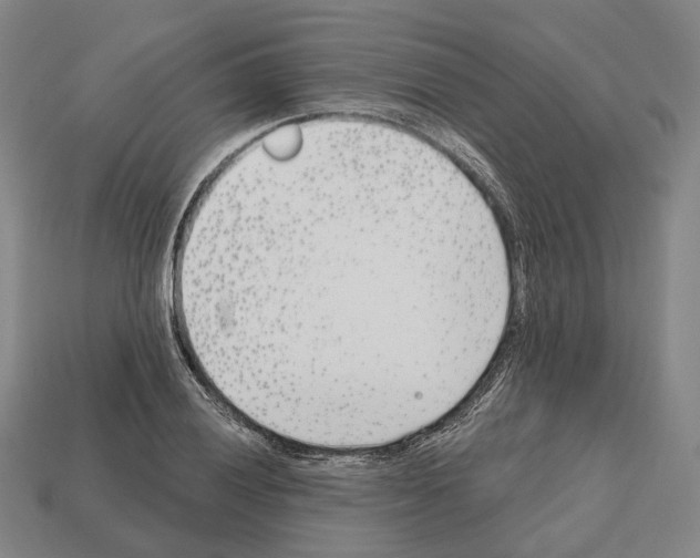 X0000112541028200909281055