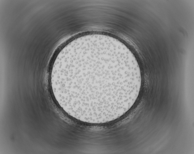 X0000112541029200909281055