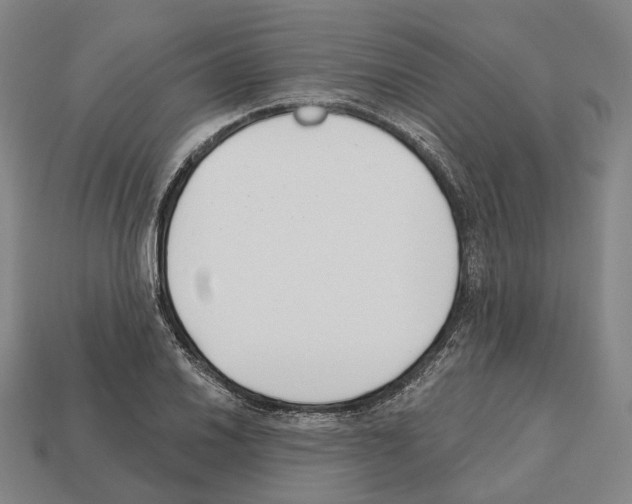 X0000112541030200909281055