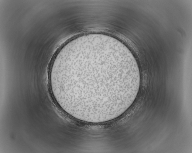 X0000112541031200909281055