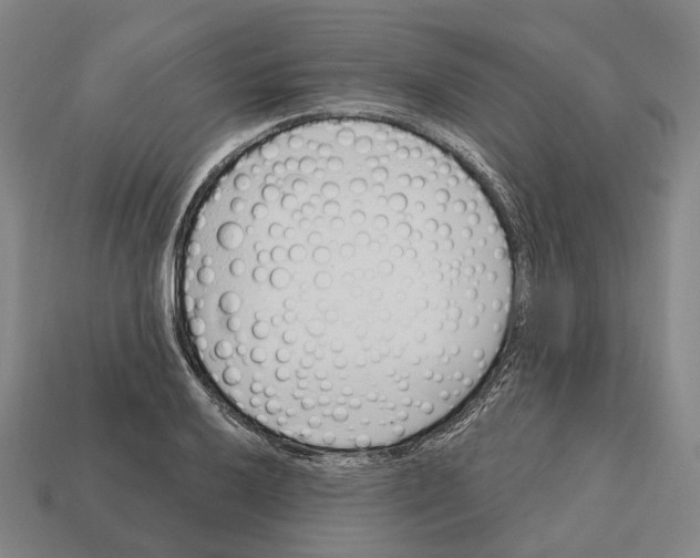 X0000112541032200909281055