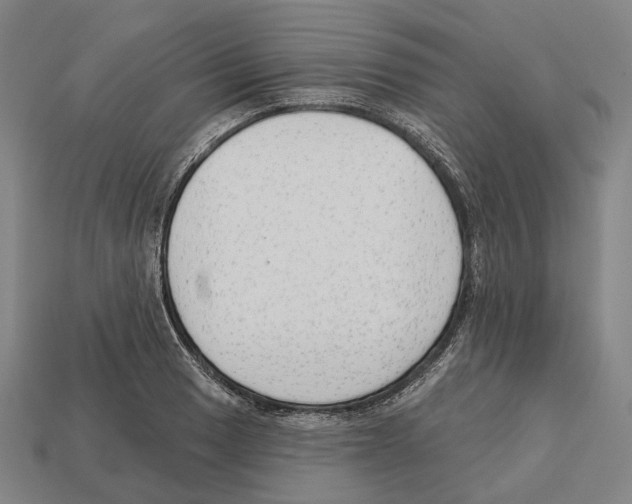 X0000112541033200909281055