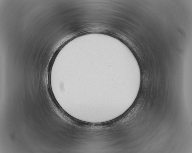 X0000112541034200909281055