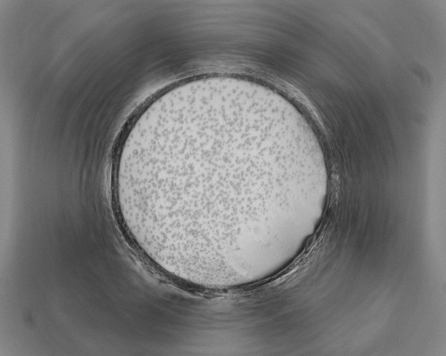 X0000112541035200909281055