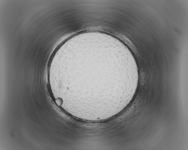X0000112541036200909281055