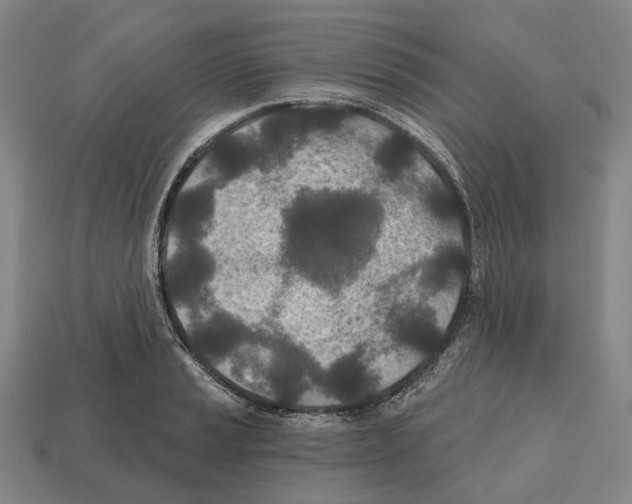 X0000112541037200909281055