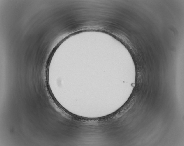 X0000112541038200909281055