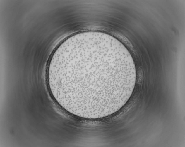 X0000112541039200909281055