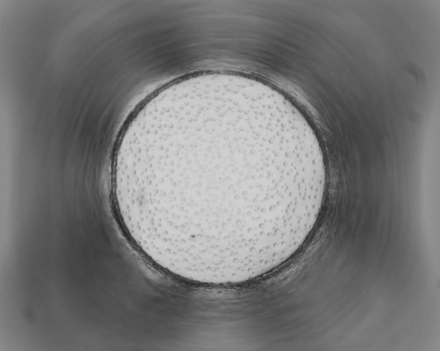 X0000112541040200909281055