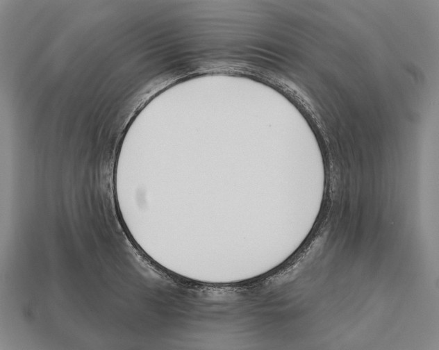 X0000112541041200909281055