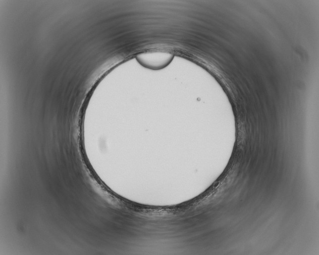 X0000112541042200909281055
