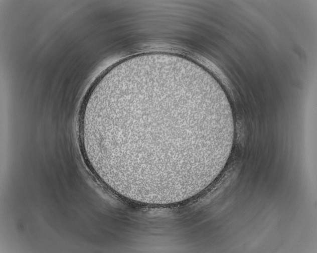 X0000112541043200909281055