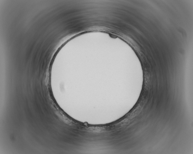 X0000112541044200909281055