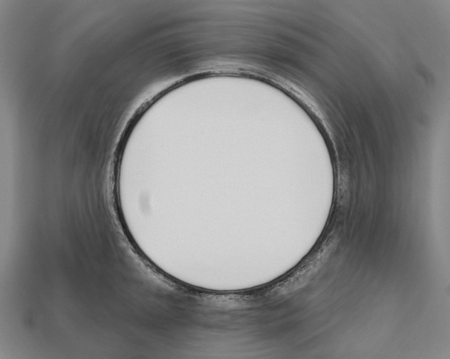 X0000112541045200909281055