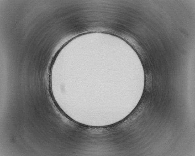 X0000112541046200909281055