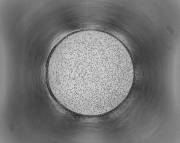 X0000112541047200909281055