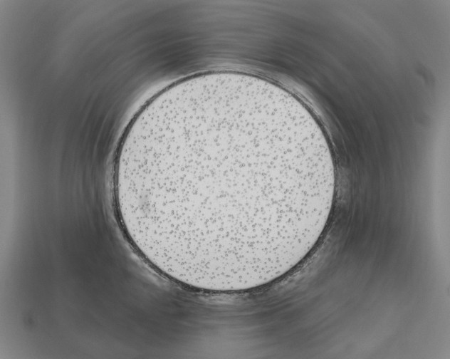 X0000112541048200909281055
