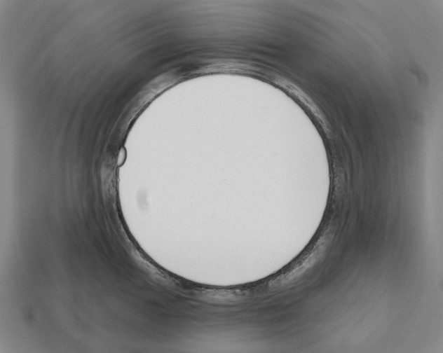 X0000112541049200909281055