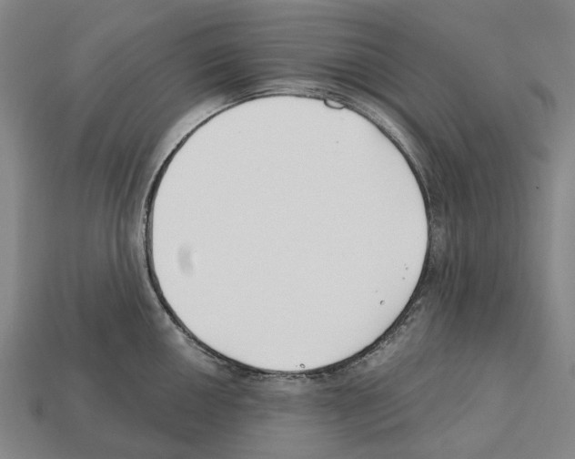 X0000112541050200909281055