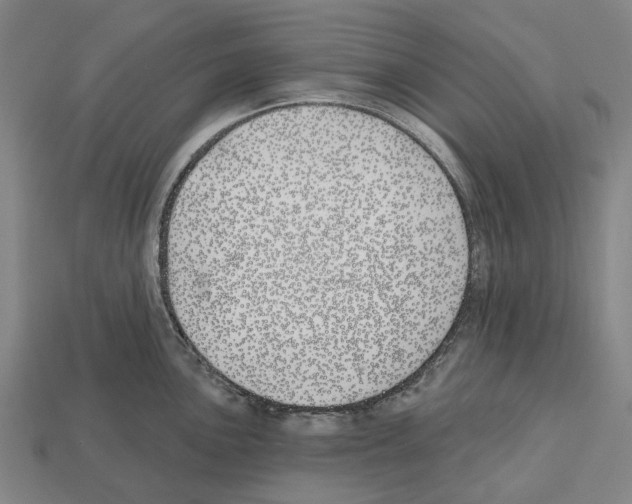 X0000112541051200909281055