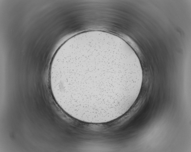 X0000112541052200909281055