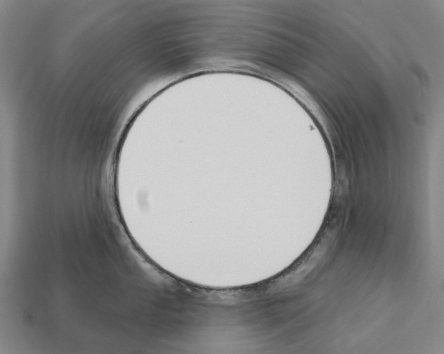 X0000112541053200909281055