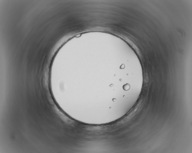 X0000112541054200909281055