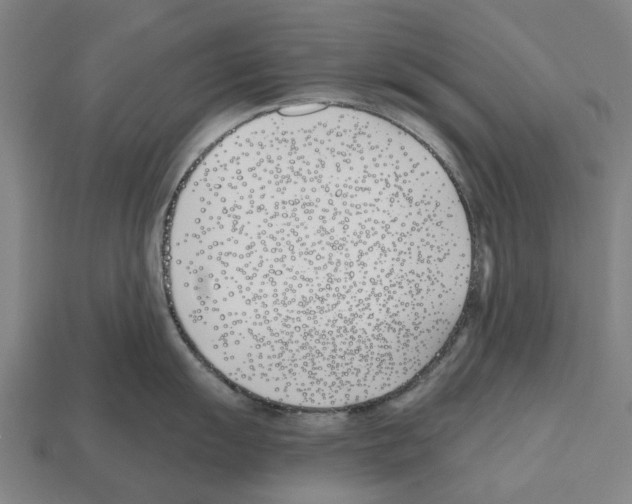 X0000112541055200909281055