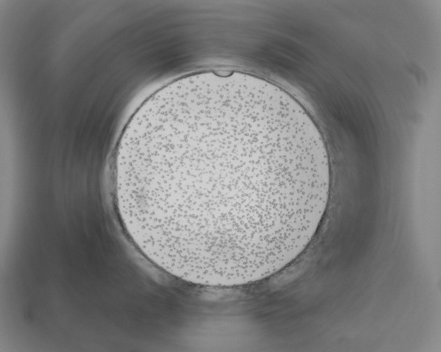 X0000112541056200909281055