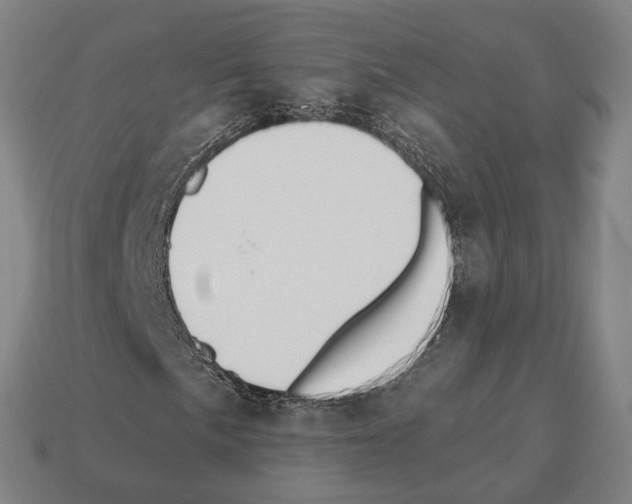 X0000112541057200909281054