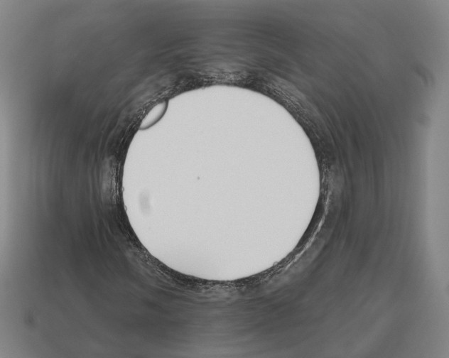 X0000112541058200909281054