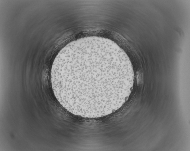 X0000112541059200909281054
