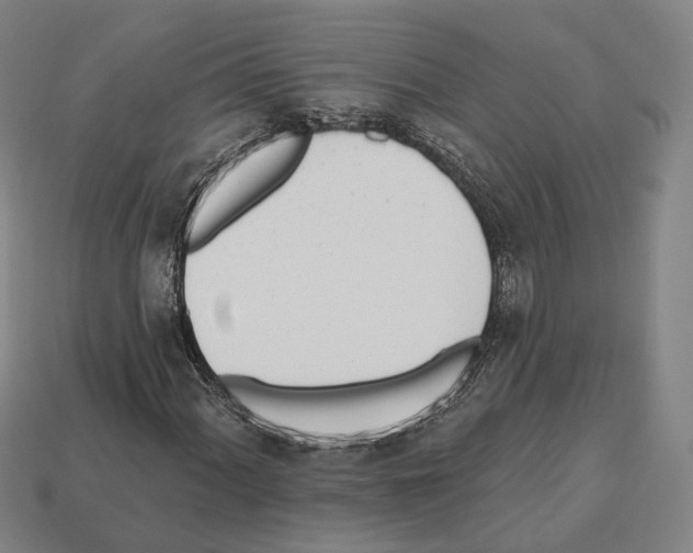 X0000112541060200909281054