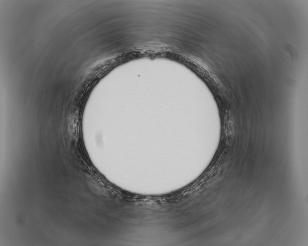 X0000112541063200909281054