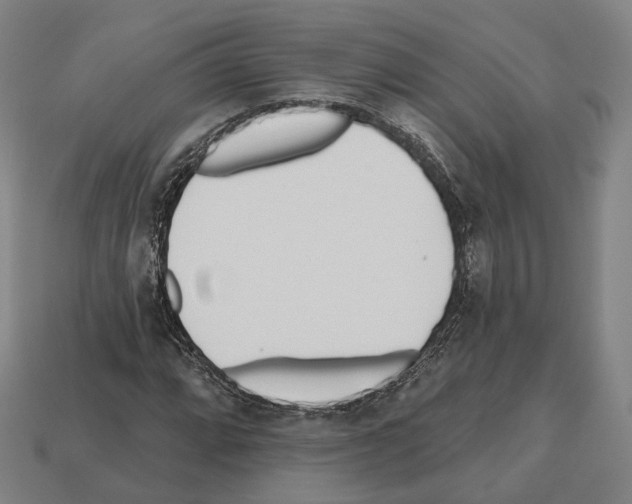 X0000112541064200909281054