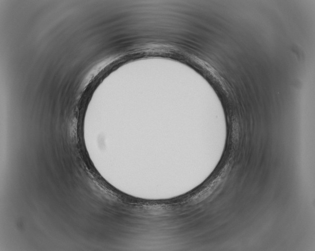 X0000112541066200909281054