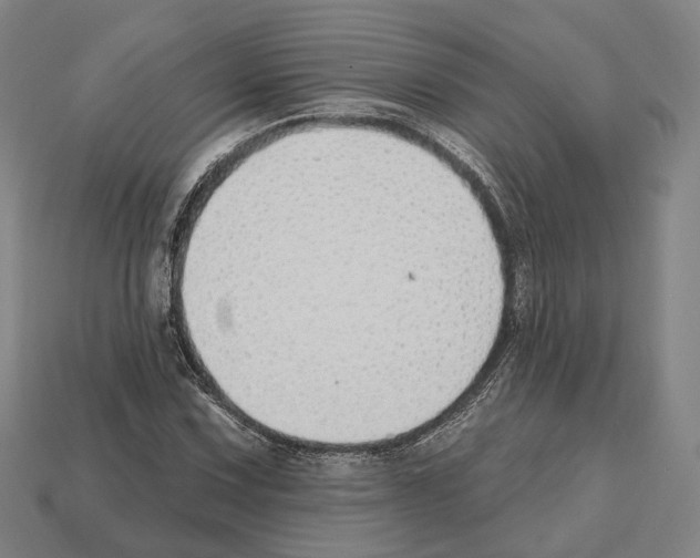 X0000112541067200909281054