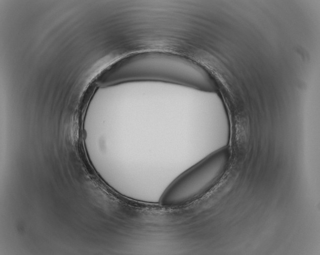 X0000112541069200909281054